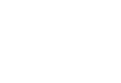 Panzotto