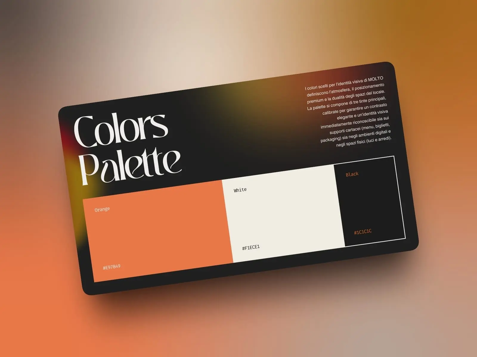Palette colori della brand identity Molto